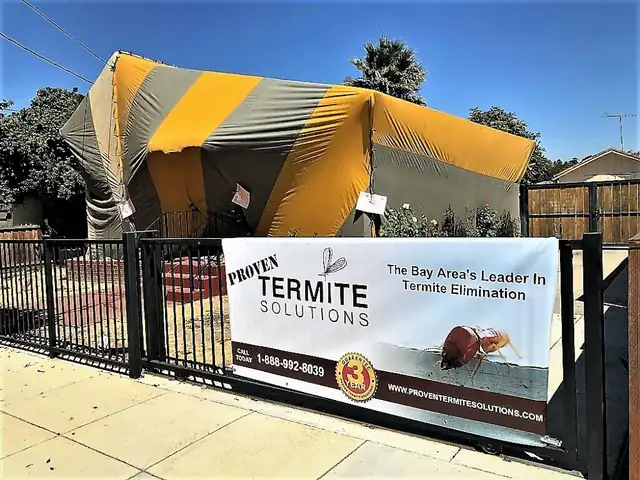 Proven Termite Solutions