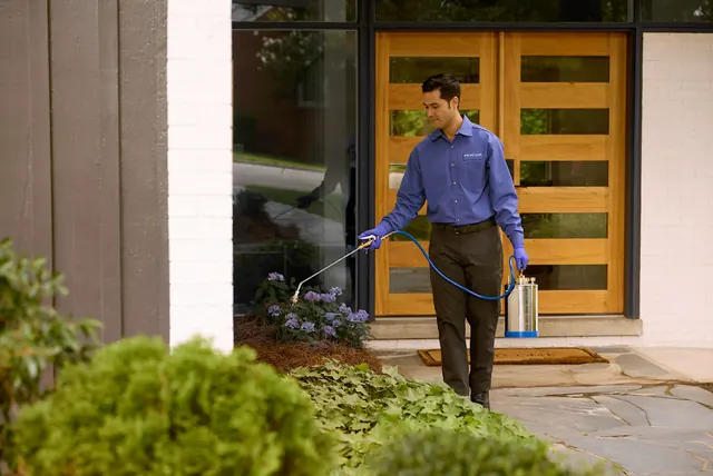 PURCOR Pest Solutions
