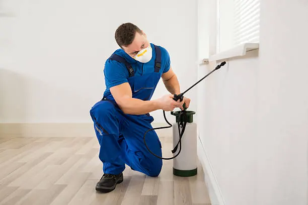 Rapid San Diego Pest Control Services