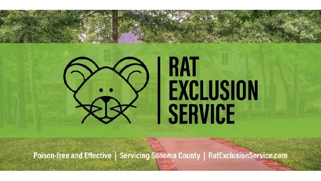 Rat Exclusion Service