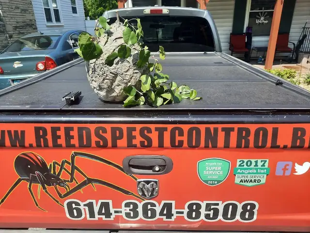 Reed's Pest Control
