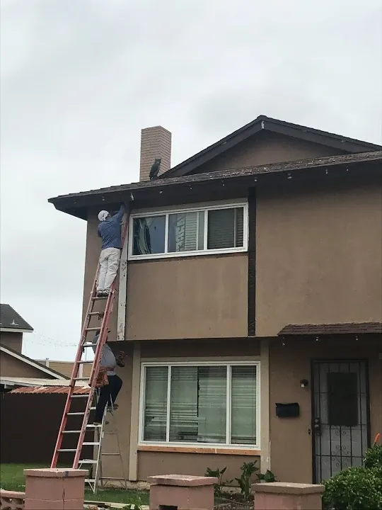 Reiign Termite And Pest Services, Inc.