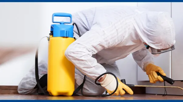 Reliable Termite Solutions
