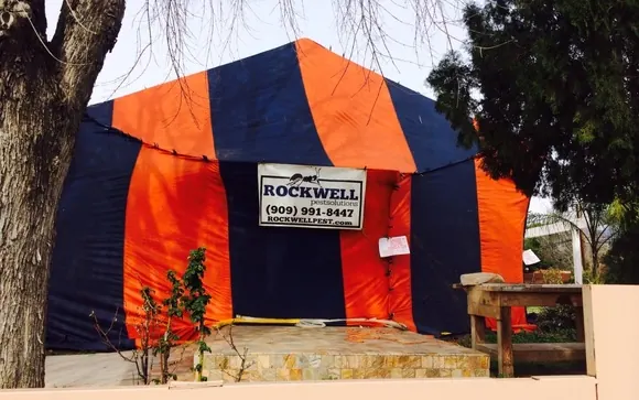 Rockwell Pest Solutions