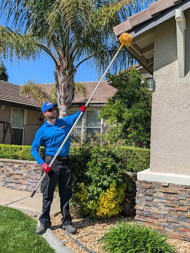 Rodent Wrangler Pest Control