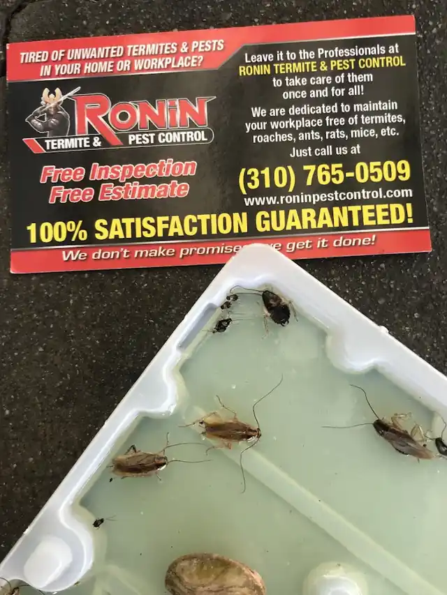 Ronin Pest Control