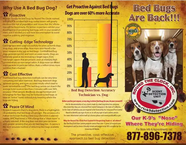 Round The Clock Pest Control Inc
