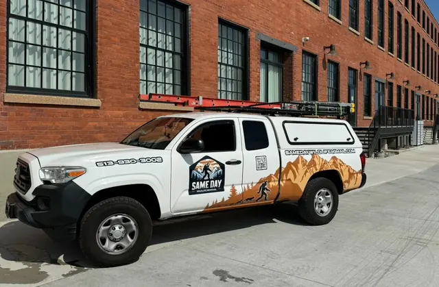 Same Day Wildlife Removal