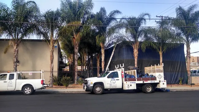 San Diego County Termite Control