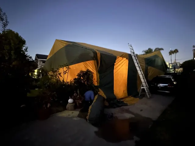 SBM Fumigation