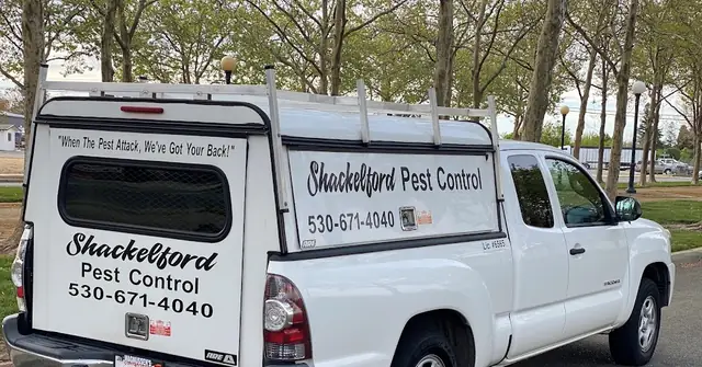 Shackelford Pest Control