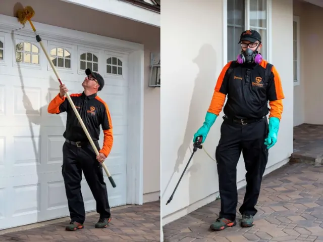 Shimmy Pest Control OC
