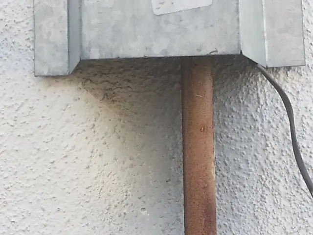 SHUSTER'S PEST CONTROL