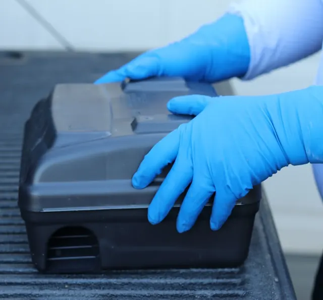 Singleton Pest Solutions