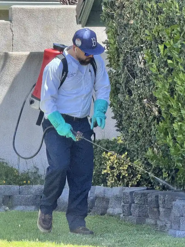SoCal Pest Pros Pest Control