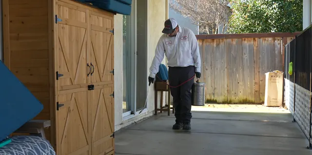 Solution Pest Services