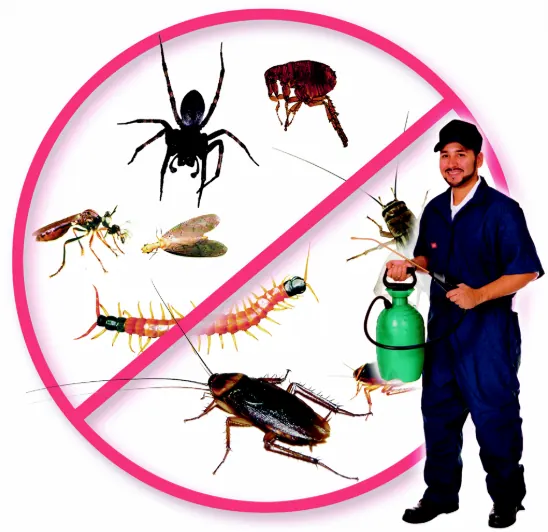 South San Francisco Pest Services