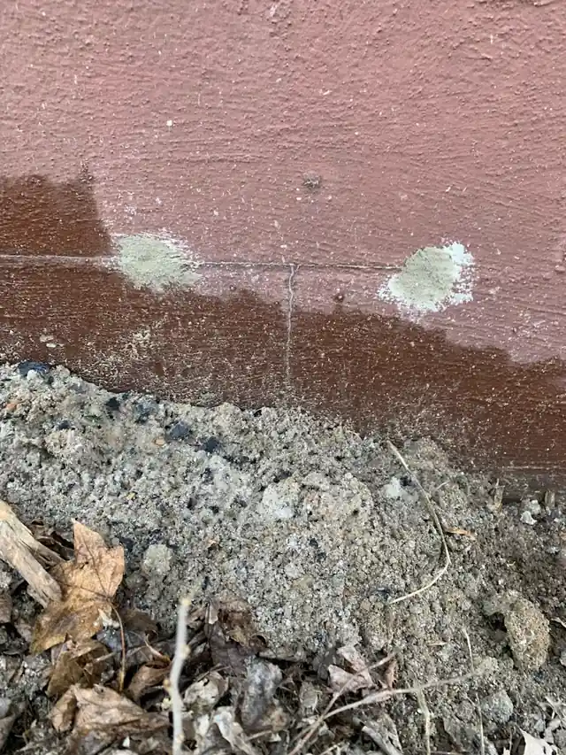 Spires Pest Control & Construction
