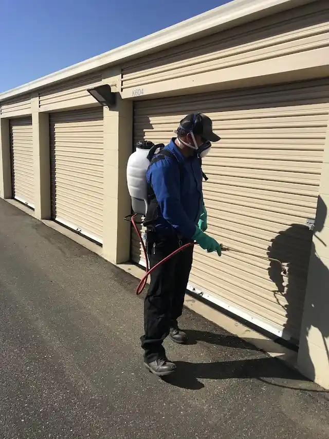 Star Pest Control
