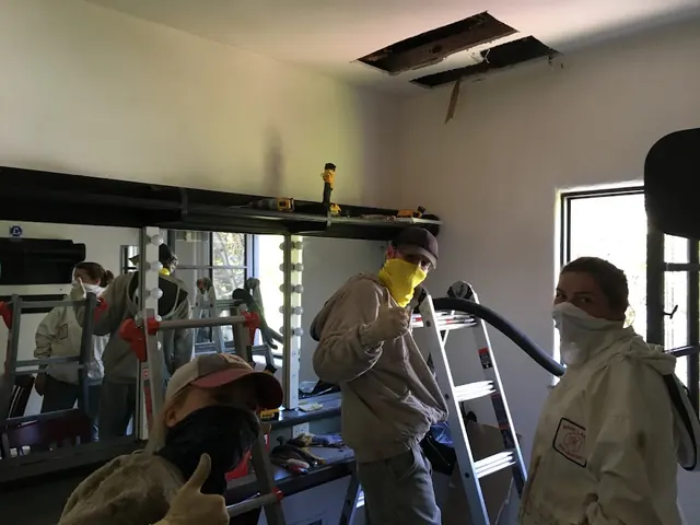 Super Bee Rescue and Removal