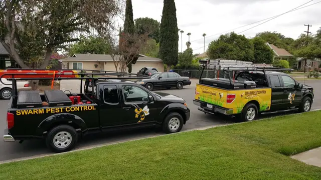 Swarm Pest Control