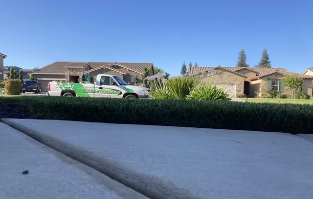 Team Green Pest Control, Lawn Fertilization and Weed Control
