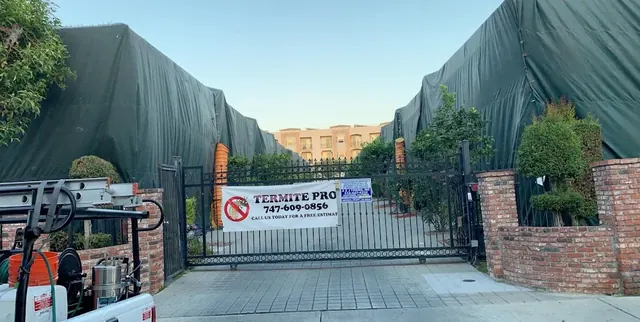 Termite Pro