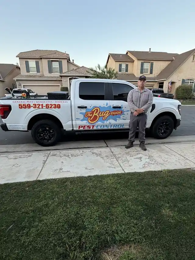 The bug dude pest control