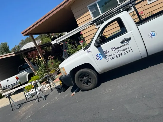 The No-Nonsense Termite Company