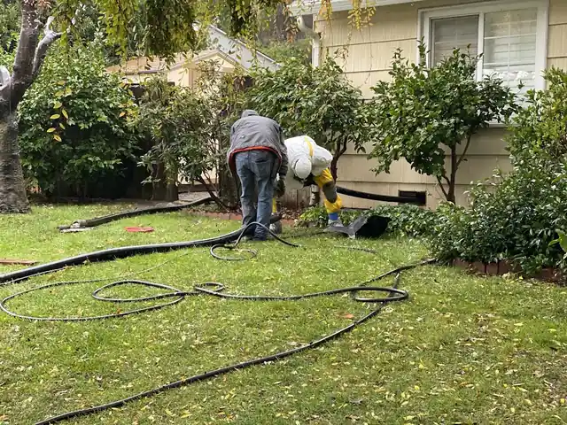 The Original Rodent Proofers