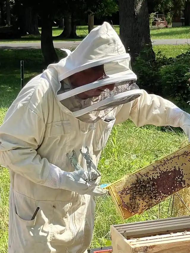 The Stinger Pest Control LLC