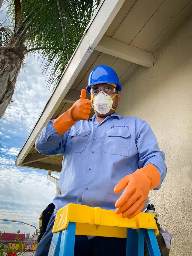 The Termite Guy