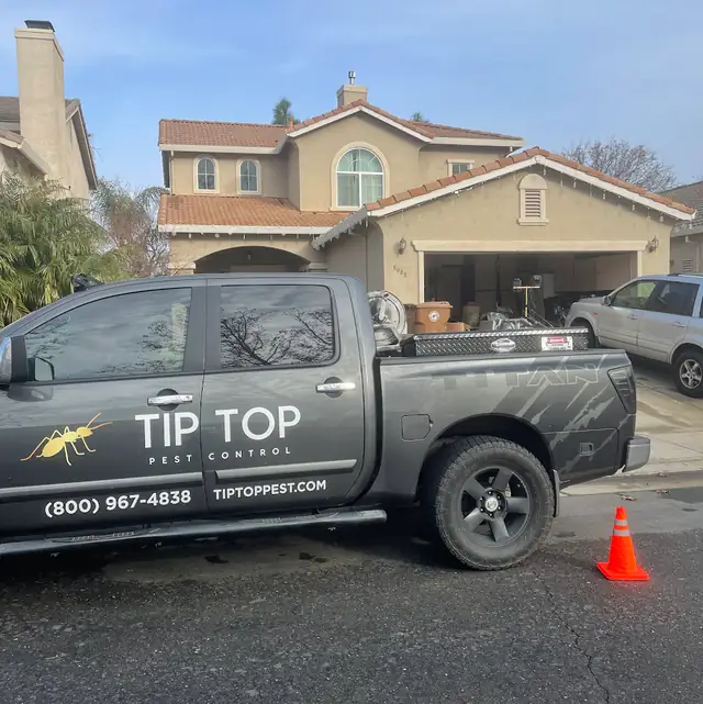 Tip Top Pest Control