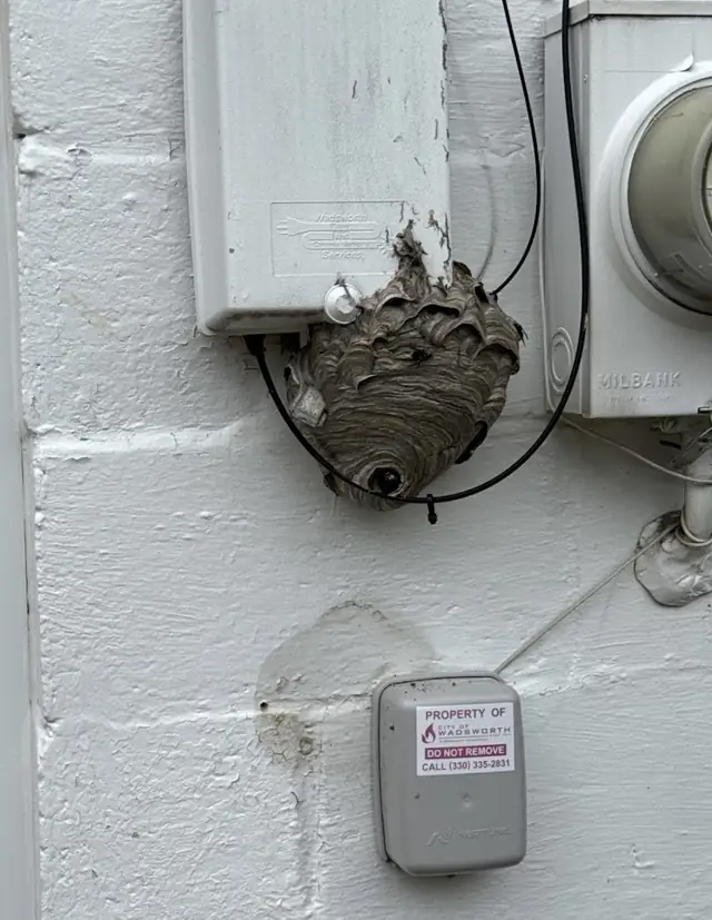Triple B Pest Control