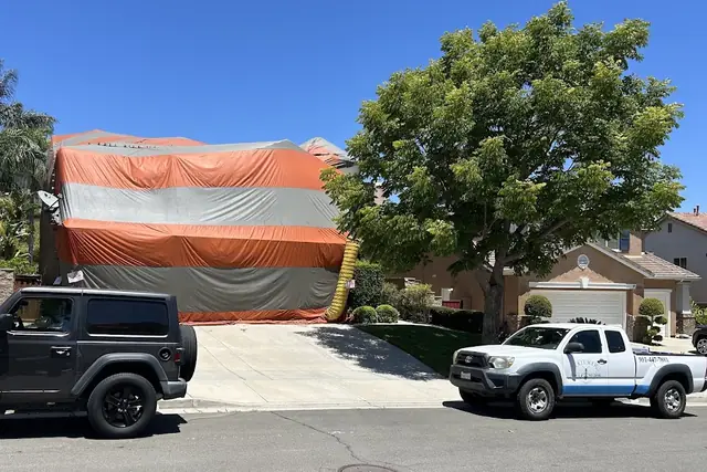 Triumph Termite and Pest Control