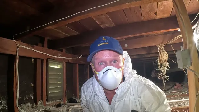 Twin Home Rodent Control of Pasadena