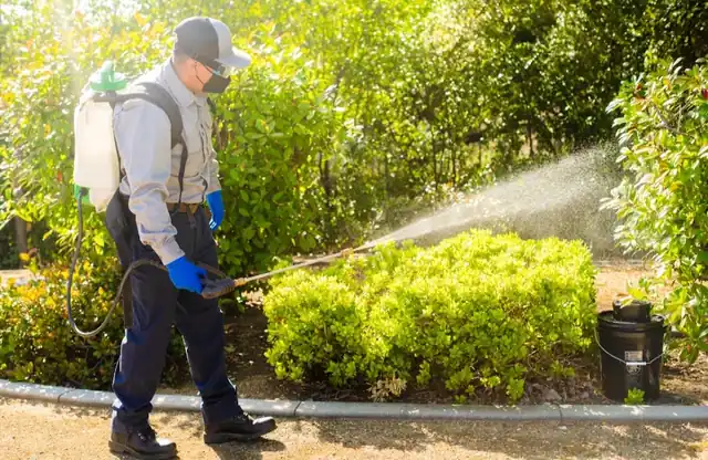 Twin Termite & Pest Control Vacaville