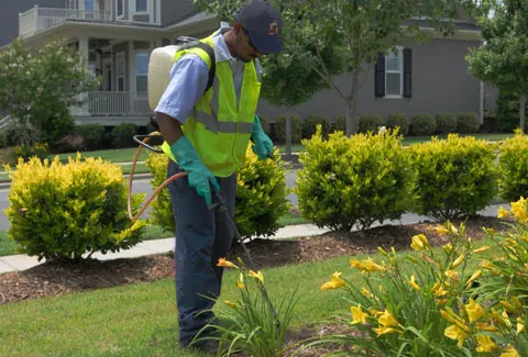 U.S. Lawns