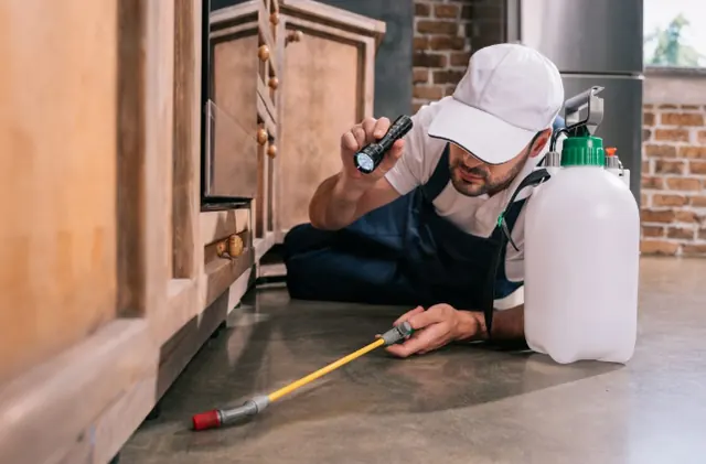 Ultimate Termite Control