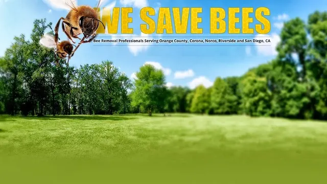 We Save Bees