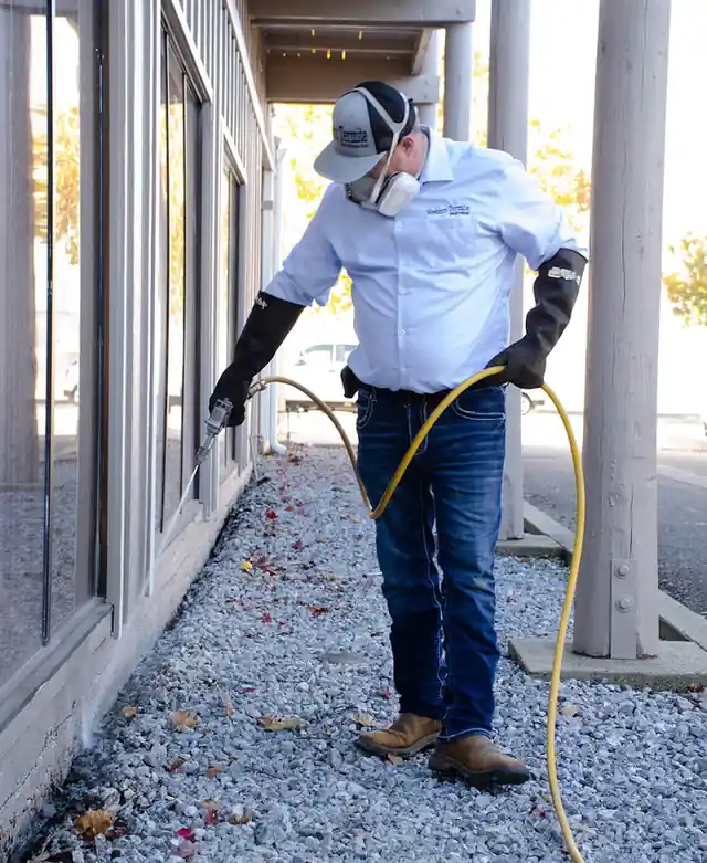 Western Termite Solutions, Inc