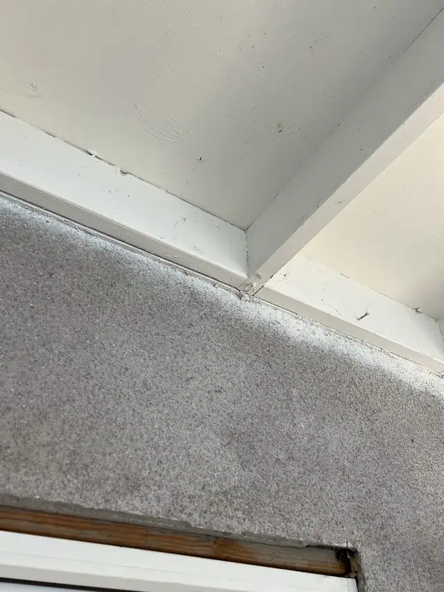 White Knight Pest Services