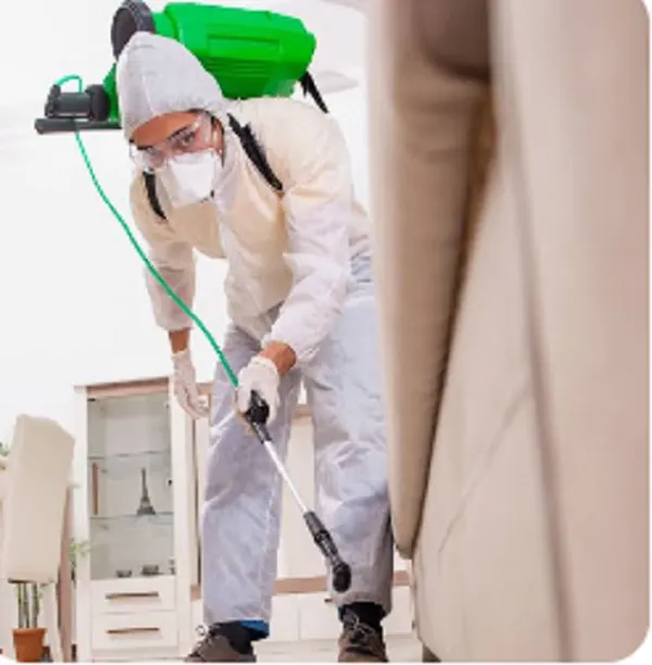 Work Pest Control Company