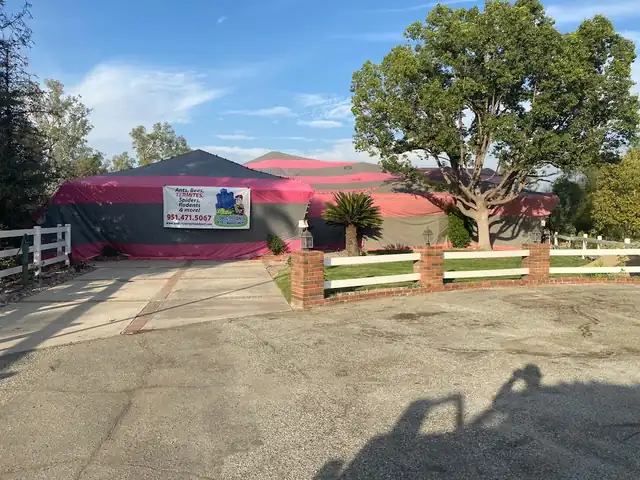 Your City Termite & Pest Management, Inc