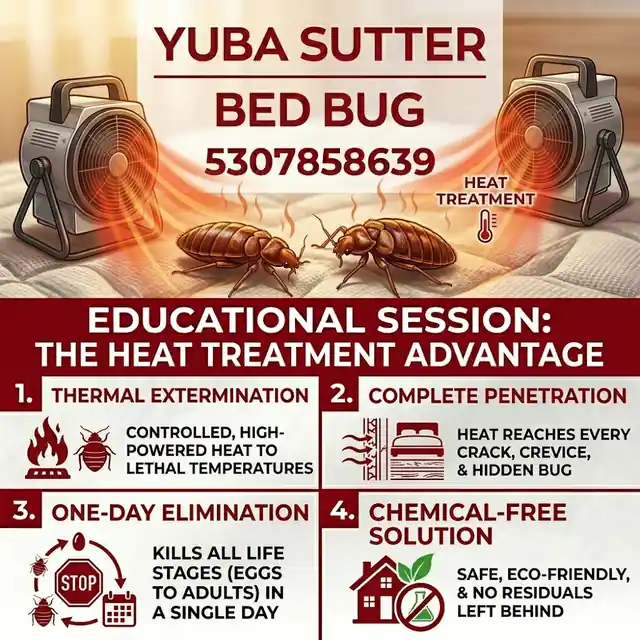 Yuba Sutter Bed Bug