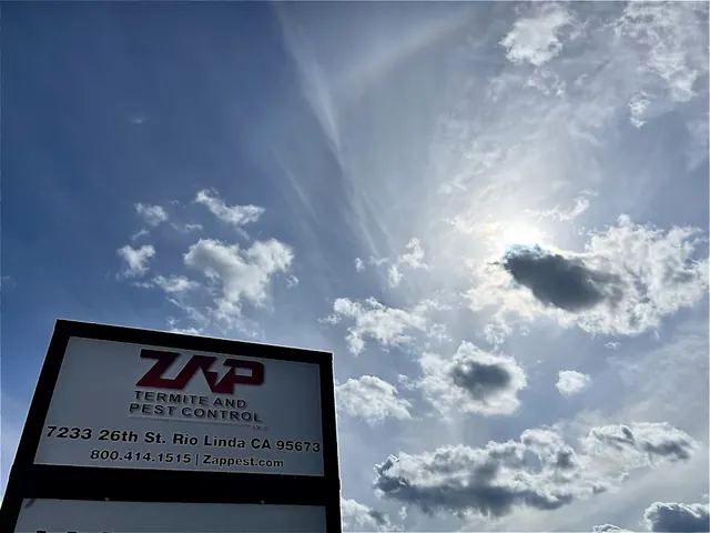 Zap Termite & Pest Control, Inc.