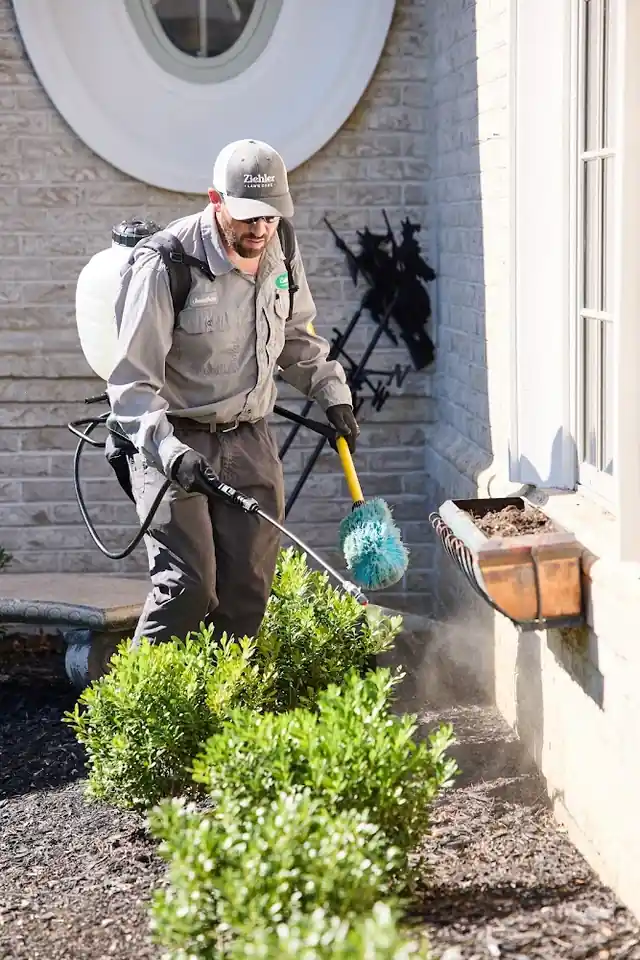Ziehler Lawn Care