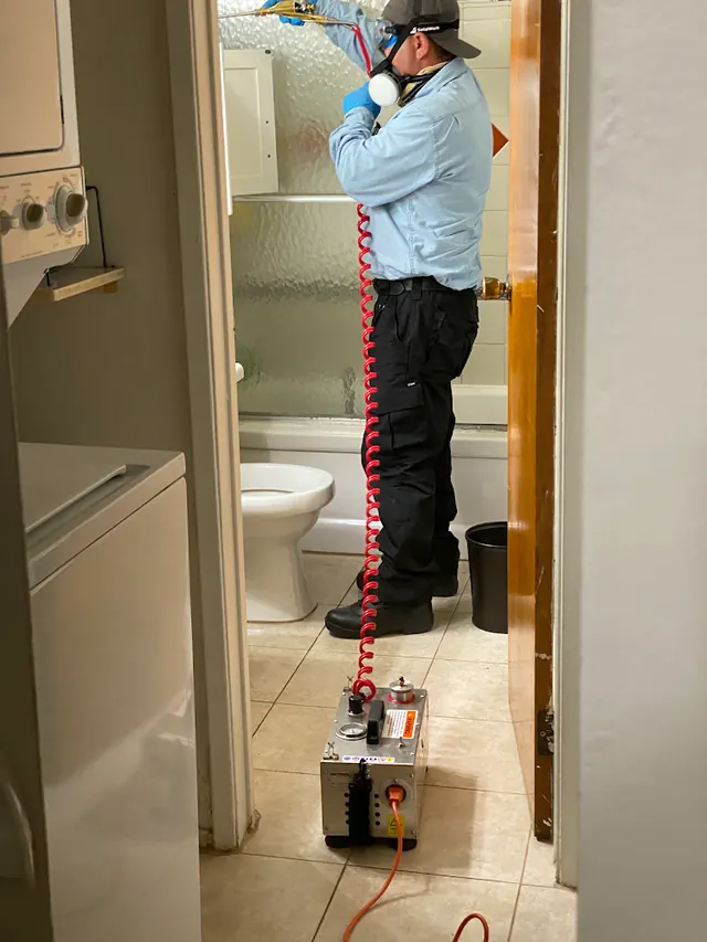 Zircon Pest Solutions